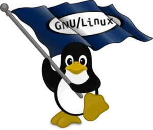 Gnu Linux Etandard