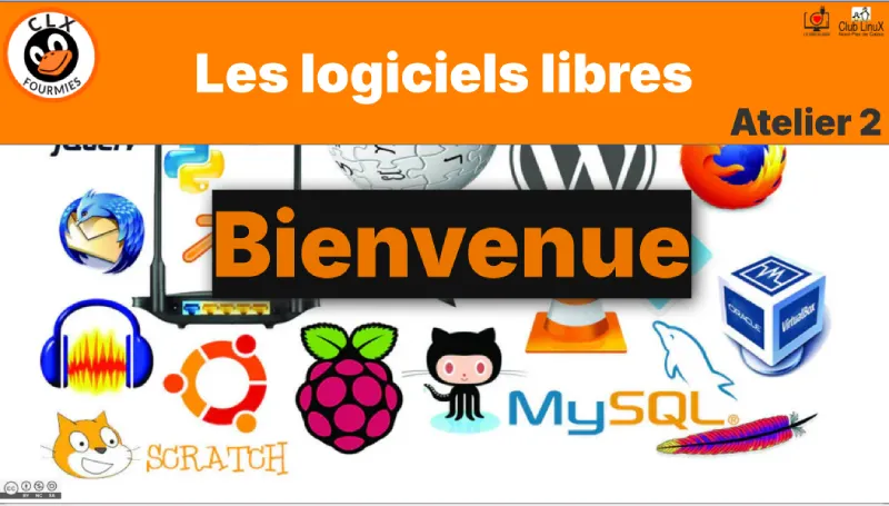 Conseil des aînés Atelier 2